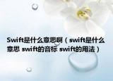 Swift是什么意思啊（swift是什么意思 swift的音標(biāo) swift的用法）