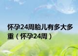 懷孕24周胎兒有多大多重（懷孕24周）