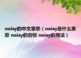 noisy的中文意思（noisy是什么意思 noisy的音標(biāo) noisy的用法）