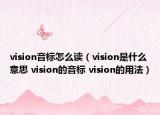 vision音標怎么讀（vision是什么意思 vision的音標 vision的用法）