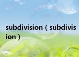 subdivision（subdivision）