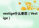 vestige什么意思（Vestige）