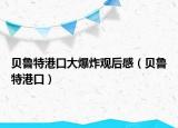 貝魯特港口大爆炸觀后感（貝魯特港口）