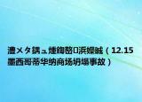 澧ㄨタ鍝ュ煄鍧嶅浜嬫晠（12.15墨西哥蒂華納商場坍塌事故）