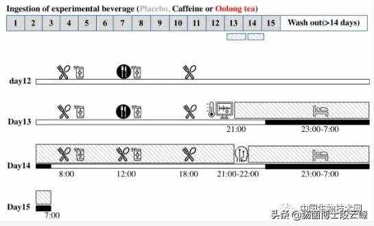 “躺瘦”的夢想要實現(xiàn)？日本研究發(fā)現(xiàn)喝烏龍茶能減肥？