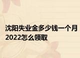 沈陽失業(yè)金多少錢一個月2022怎么領(lǐng)取