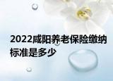 2022咸陽(yáng)養(yǎng)老保險(xiǎn)繳納標(biāo)準(zhǔn)是多少