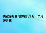 失業(yè)保險(xiǎn)金可以領(lǐng)幾個月一個月多少錢