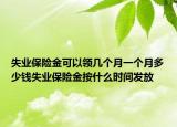 失業(yè)保險金可以領幾個月一個月多少錢失業(yè)保險金按什么時間發(fā)放