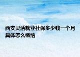 西安靈活就業(yè)社保多少錢一個月具體怎么繳納