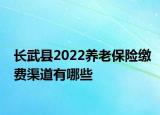 長(zhǎng)武縣2022養(yǎng)老保險(xiǎn)繳費(fèi)渠道有哪些