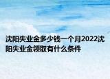 沈陽失業(yè)金多少錢一個月2022沈陽失業(yè)金領取有什么條件