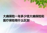 大病保險一年多少錢大病保險和醫(yī)療保險有什么區(qū)別