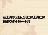 在上海怎么自己交社保上海社保最低交多少錢一個月