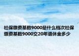 社保繳費(fèi)基數(shù)9000是什么檔次社保繳費(fèi)基數(shù)9000交20年退休金多少