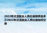 2022年靈活就業(yè)人員社保繳費是多少2022年靈活就業(yè)人員社保如何交費