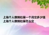 上海個人繳納社保一個月交多少錢上海個人繳納社保怎么交