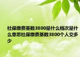 社保繳費基數(shù)3800是什么檔次是什么意思社保繳費基數(shù)3800個人交多少