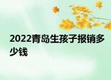 2022青島生孩子報銷多少錢