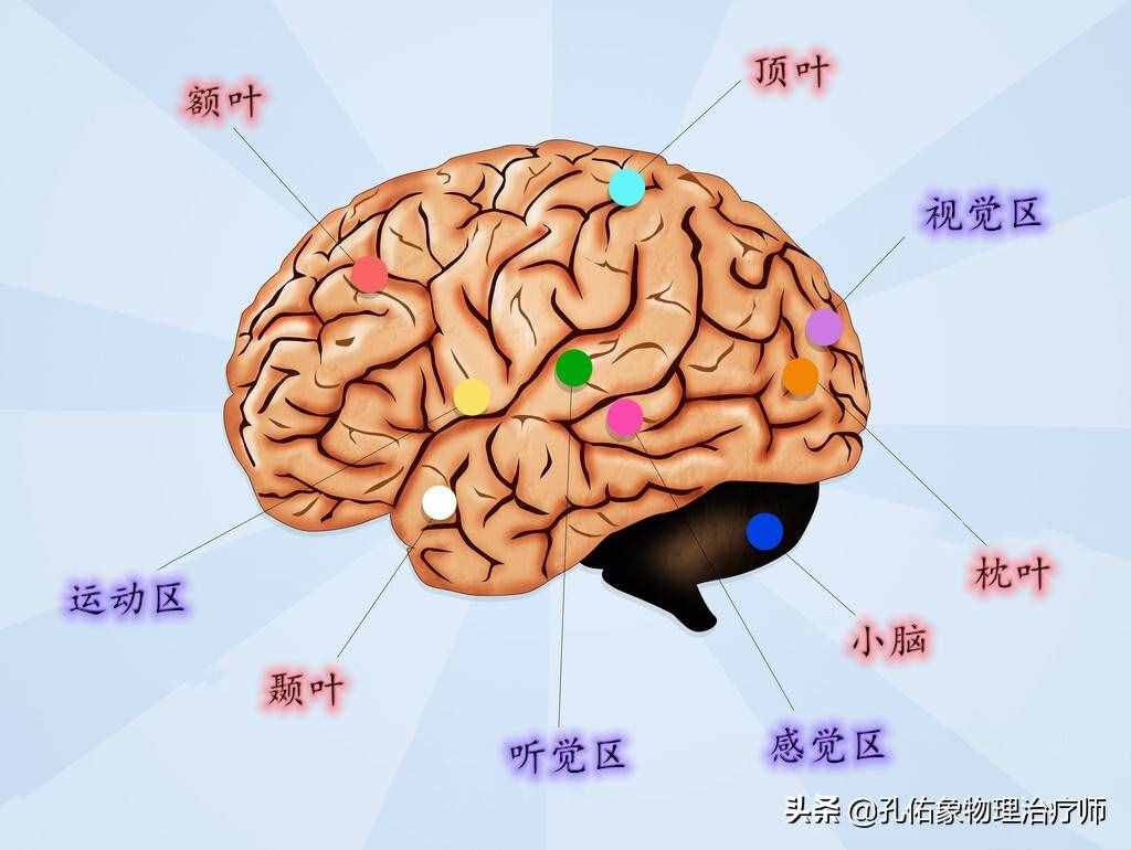 為何如此多的人發(fā)生腦出血？要如何正確應(yīng)對？一文詳細(xì)告知您