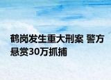 鶴崗發(fā)生重大刑案 警方懸賞30萬抓捕