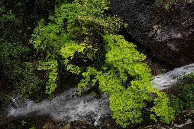 1天之內(nèi)如何游玩雁蕩山最精華的景區(qū)，這篇攻略你一定要收好