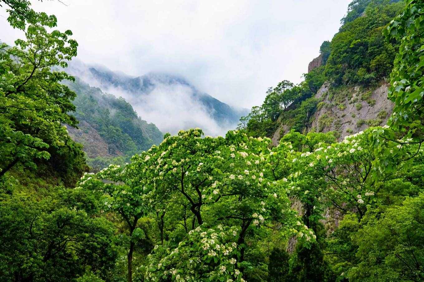 1天之內(nèi)如何游玩雁蕩山最精華的景區(qū)，這篇攻略你一定要收好