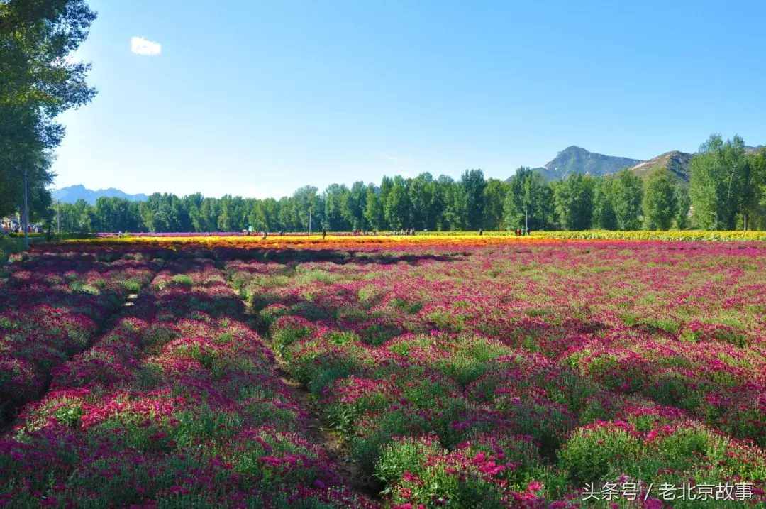 無法形容的美！清明假期北京周邊20處踏青圣地！