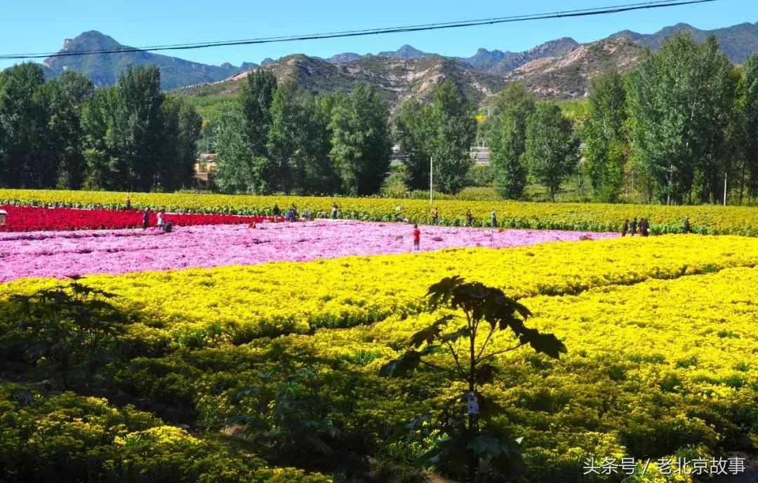 無法形容的美！清明假期北京周邊20處踏青圣地！