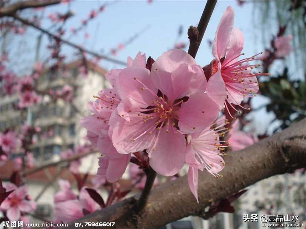 致女神們——愿你芳華自在，笑靨如花