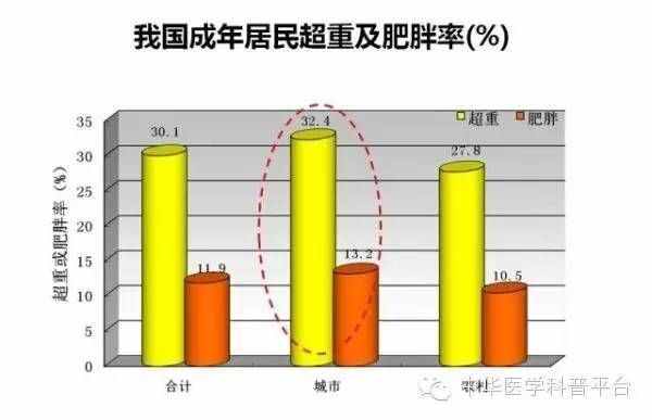 今天，我們來聊一聊三圍