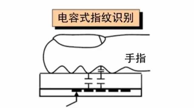 一文看懂三大指紋識(shí)別原理 光學(xué)屏幕指紋強(qiáng)在哪？