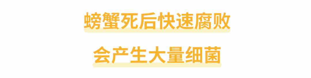 螃蟹死了還能吃嗎？“死海鮮”對(duì)身體有沒(méi)有害？