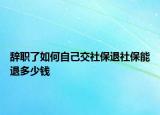 辭職了如何自己交社保退社保能退多少錢