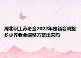 湖北職工養(yǎng)老金2022年定額會調(diào)整多少養(yǎng)老金調(diào)整方案出來嗎