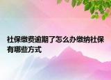 社保繳費逾期了怎么辦繳納社保有哪些方式