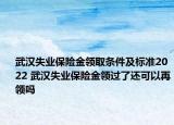 武漢失業(yè)保險金領取條件及標準2022 武漢失業(yè)保險金領過了還可以再領嗎