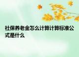 社保養(yǎng)老金怎么計(jì)算計(jì)算標(biāo)準(zhǔn)公式是什么