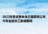 2022年各省養(yǎng)老金方案即將公布今年會放棄工齡調(diào)整嗎