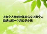 上海個人繳納社保怎么交上海個人繳納社保一個月交多少錢