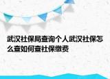 武漢社保局查詢個(gè)人武漢社保怎么查如何查社保繳費(fèi)