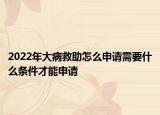 2022年大病救助怎么申請需要什么條件才能申請