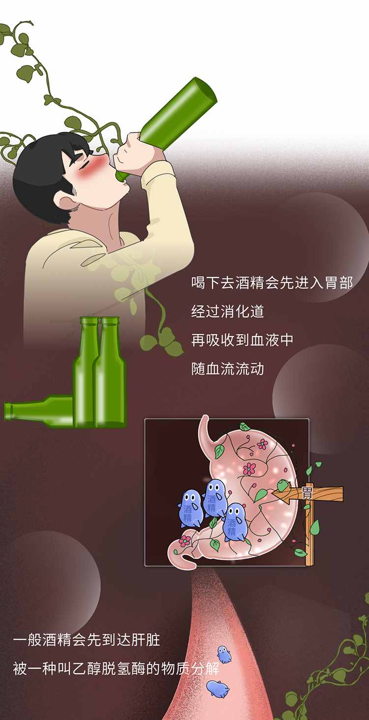 吃什么能快速解酒？蜂蜜、濃茶都沒(méi)用！真正有效的方法是這2個(gè)