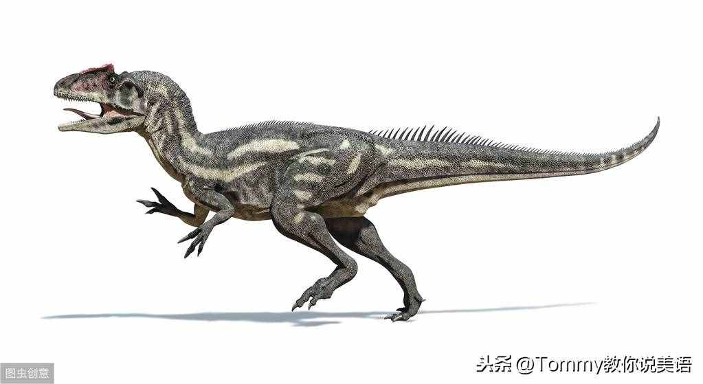 15秒記一個(gè)單詞（第2079個(gè)）dinosaur