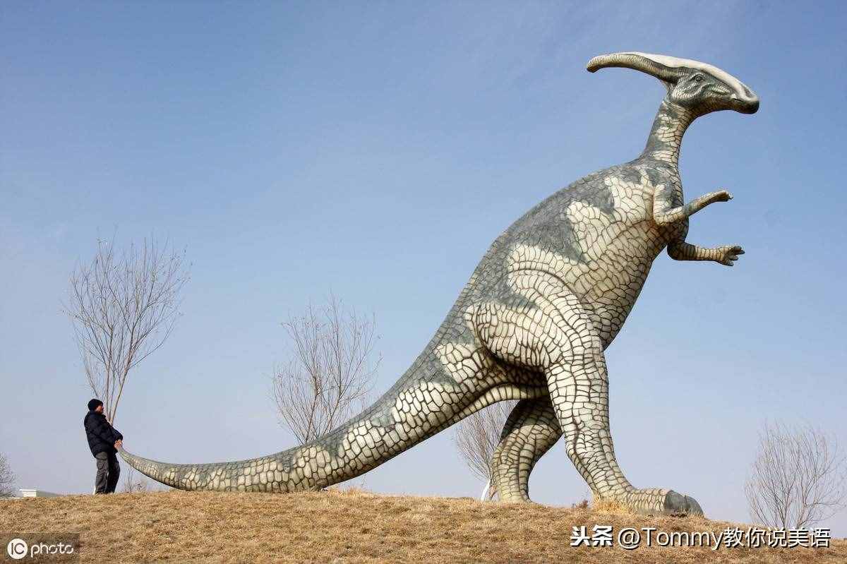 15秒記一個(gè)單詞（第2079個(gè)）dinosaur