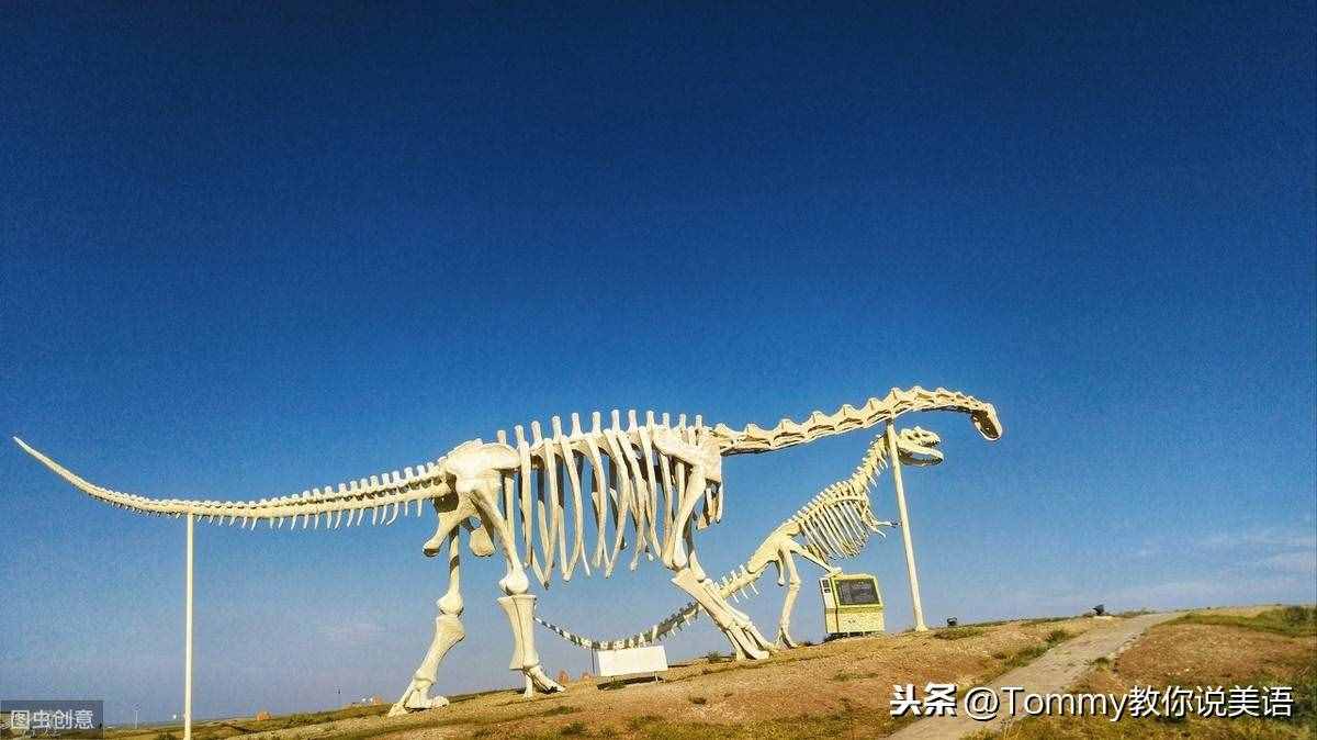 15秒記一個(gè)單詞（第2079個(gè)）dinosaur