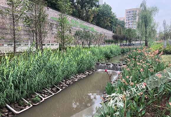 重慶河道管理?xiàng)l例執(zhí)行情況如何？市人大常委會(huì)執(zhí)法檢查組深入五區(qū)縣檢查