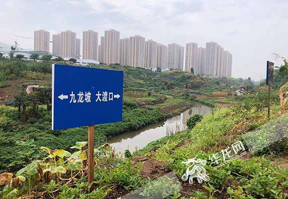 重慶河道管理?xiàng)l例執(zhí)行情況如何？市人大常委會(huì)執(zhí)法檢查組深入五區(qū)縣檢查