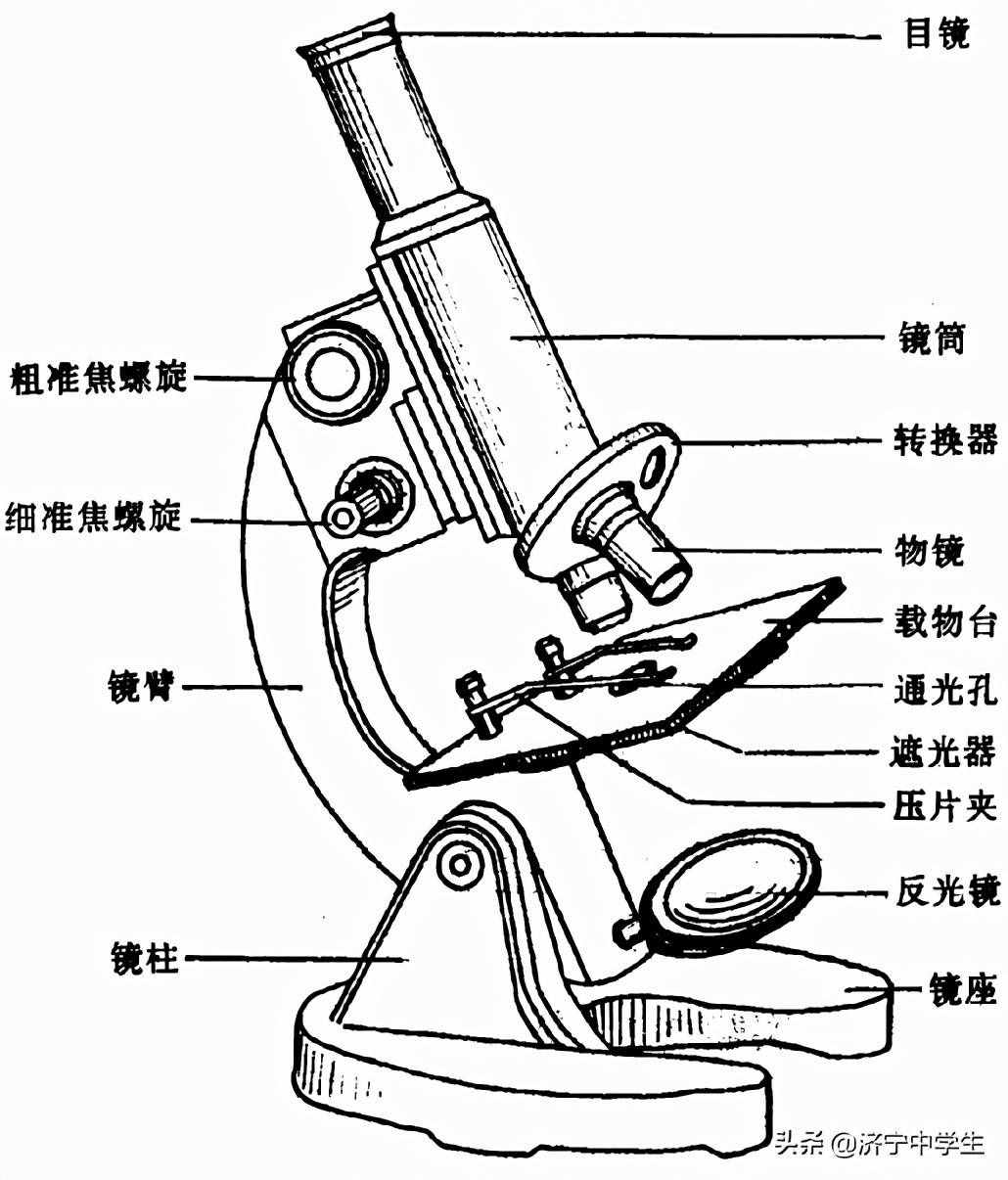 顯微鏡使用方法