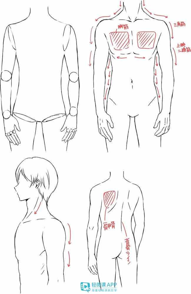 漫畫人物很難畫？手把手教你學(xué)會(huì)畫